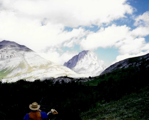Palliser Pass (1990s) Burstall Pass