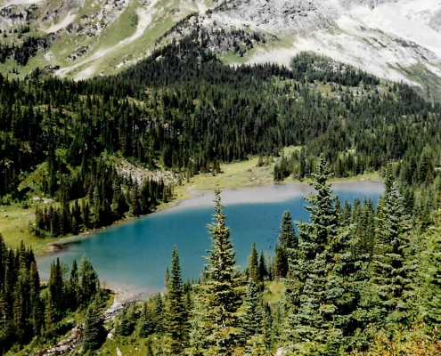 Palliser Pass (1990s) Burstall Pass View towards Leman Lake