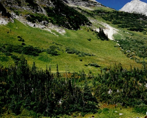 Palliser Pass (1990s) Valley Below PP