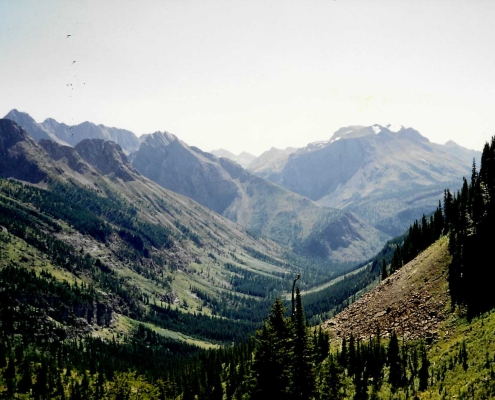 Palliser Pass (1990s) View from Pass Area