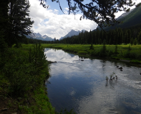Palliser Pass (2015) Spray River Valley