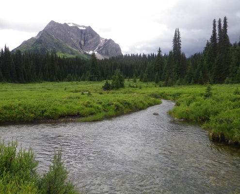 Palliser Pass (2015) Spray River at Leman Creek