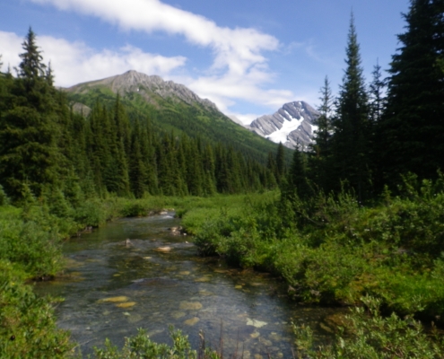 Palliser Pass (2015) View at Palliser Pass - Downriver