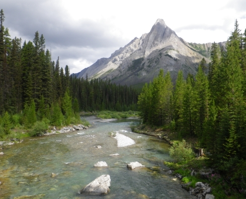 Palliser Pass (2015) View of Mount Shark